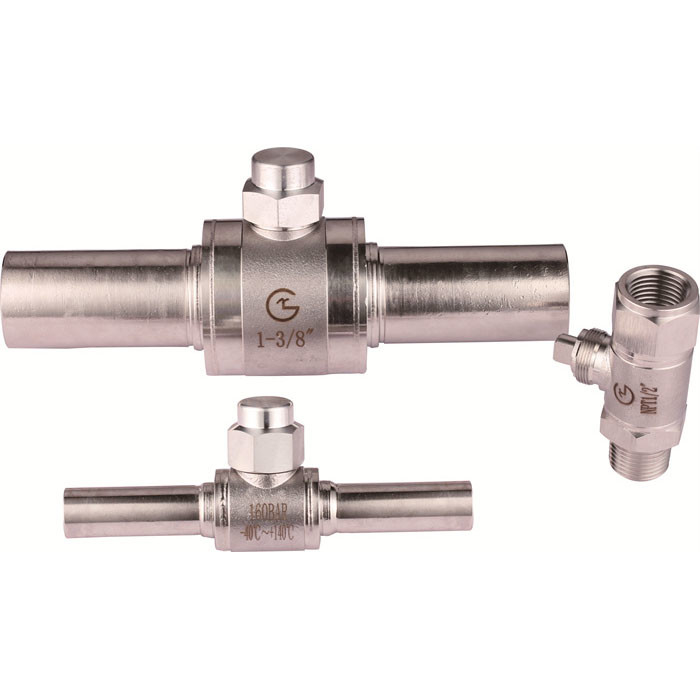 Endüstriyel Uygulamalarda -40C-140C sıcaklık aralığı için DN4DN40 CO2 Top Valf